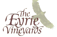 Eryie Vineyards at Rootstock and Vine